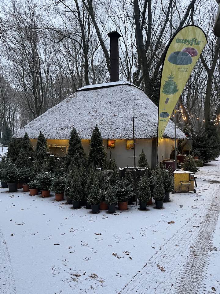 Foto S Schuurmans Buxus Taxus En Kerstbomen